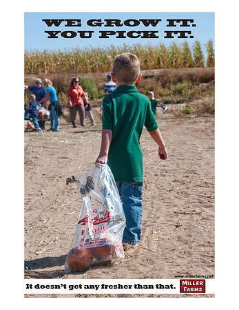 Print ad for Miller Farms,  Photo by Mitch Nicklas